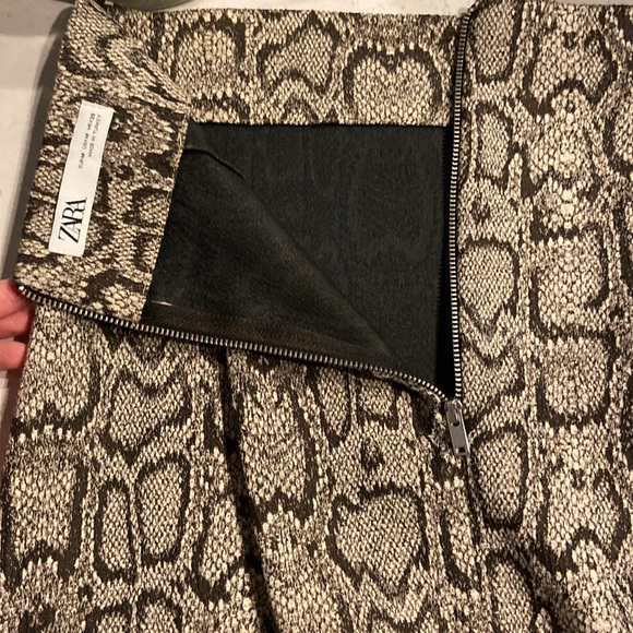 Zara Python Pencil Skirt - Picture 5 of 6
